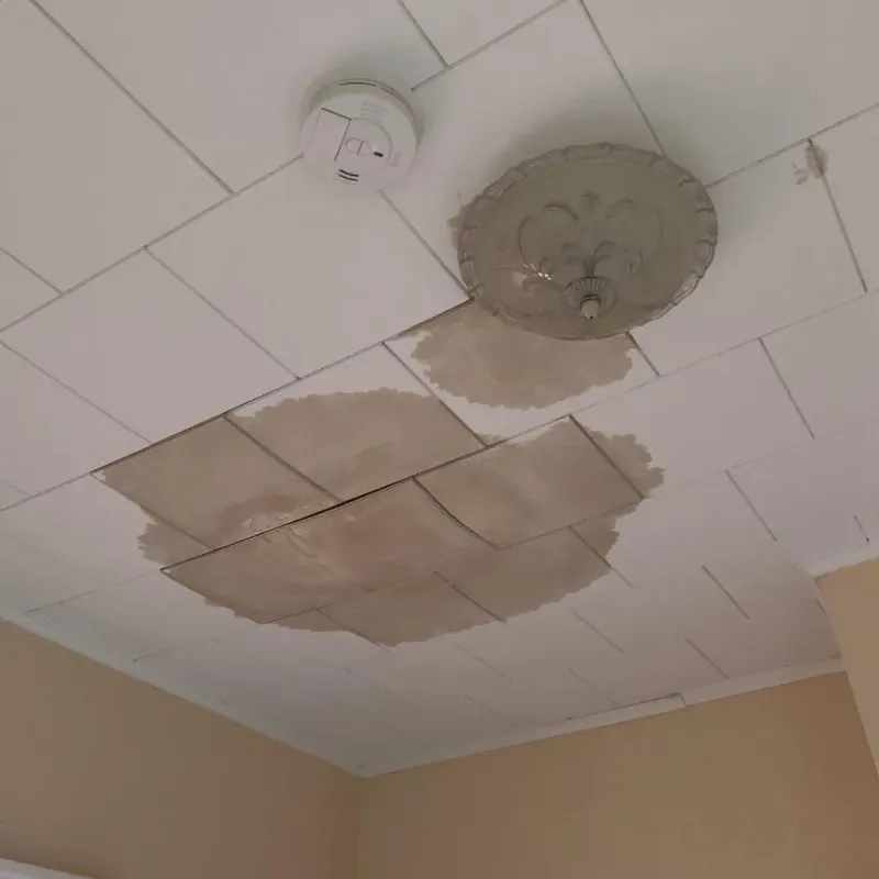Ceiling Water Damage Repair in Webster County, NE