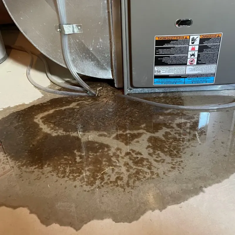 Pipe Burst and Leak Restoration in Webster County, NE